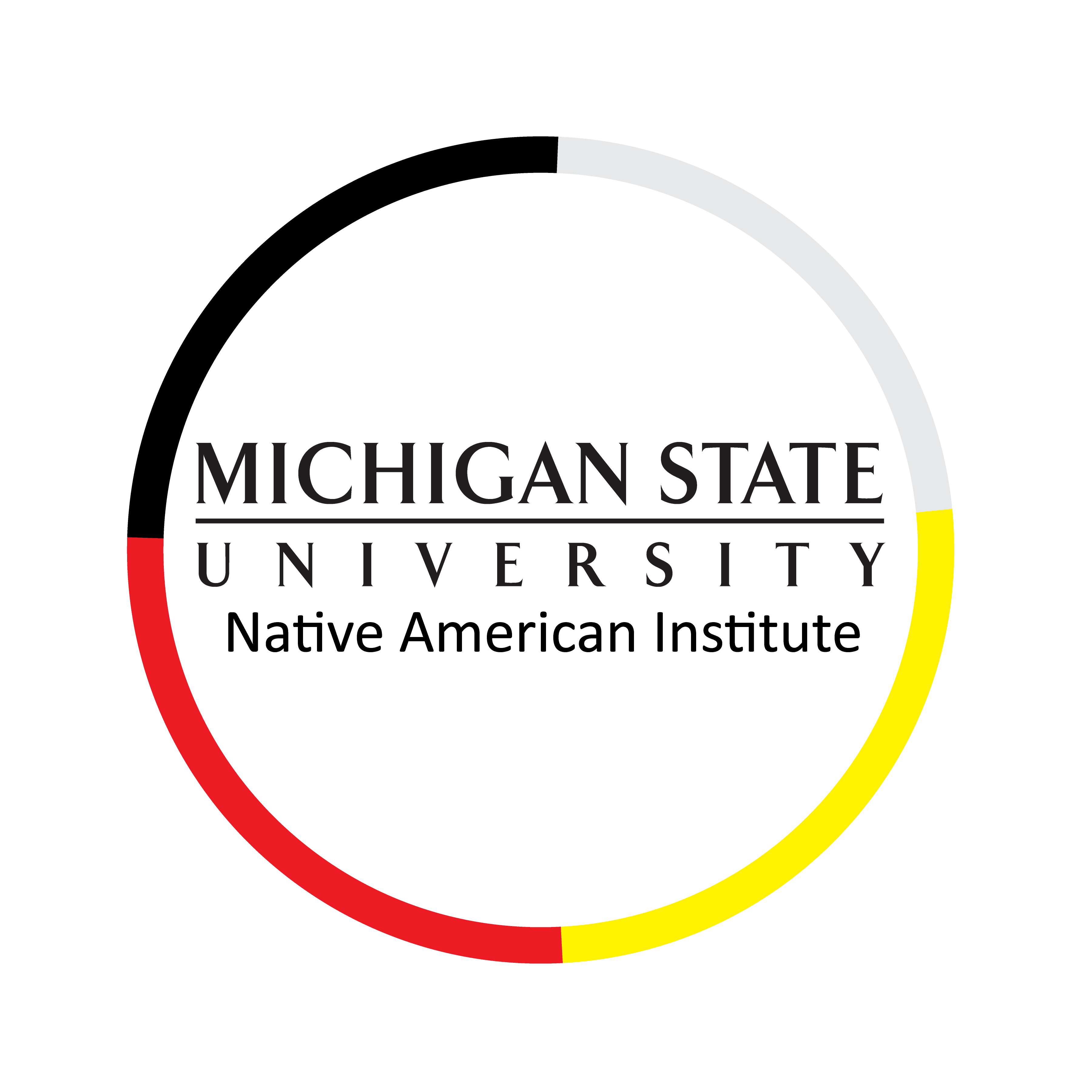 Native American Institute Logo